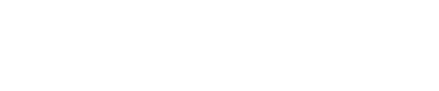 Meta Partner