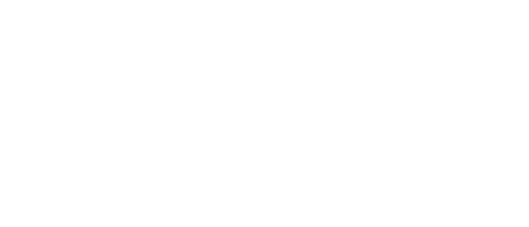 Google Partner