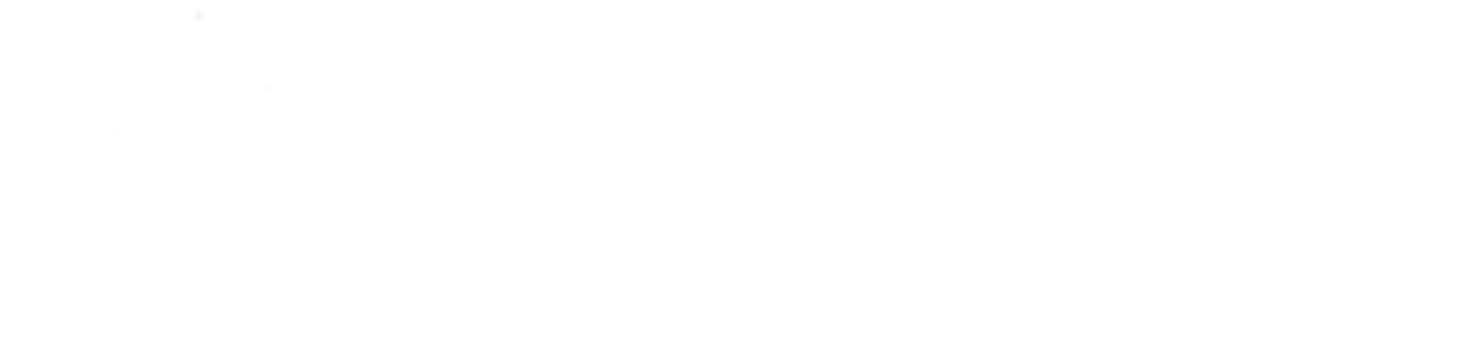 Tiktok Partner